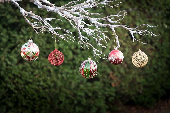 baubles hanging from white tree branch in front of a hedge