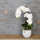 white faux orchid in geometric pot