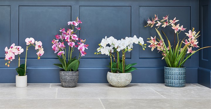 four artificial potted orchids in pink or white