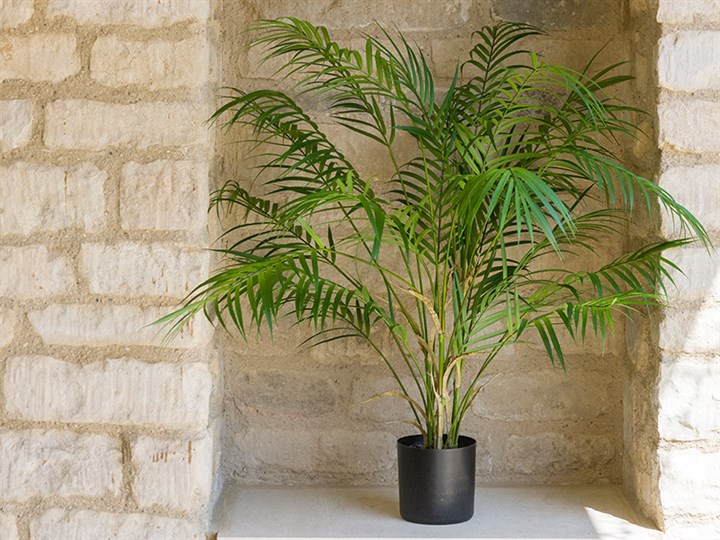 faux palm plant in a stone alcove