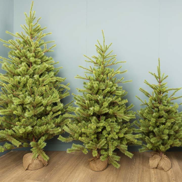 various sizes of artificial christmas tree