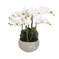 Faux Orchid in Clay Pot alternative image