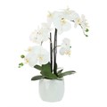Classic Potted Faux Orchid alternative image