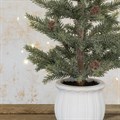 Faux Glittered Mini Pine in Pot alternative image