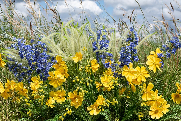 artificial purple and yellow flowers in a field