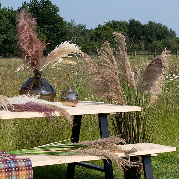 various colours of pampas grass stems in vases and on a bench in a field