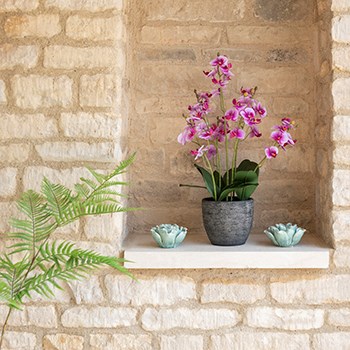 pink potted orchid in alcove