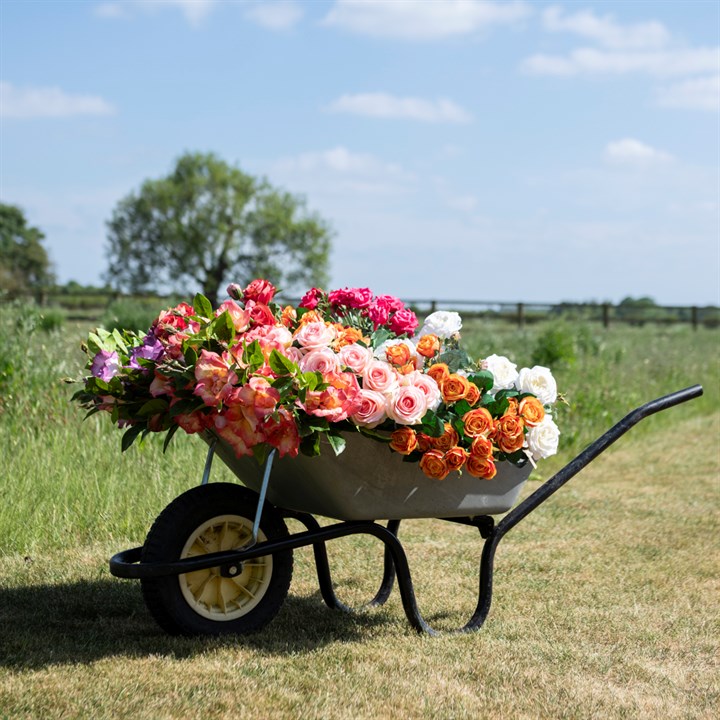 A wheelbarrow full of beautiful different coloured faux roses