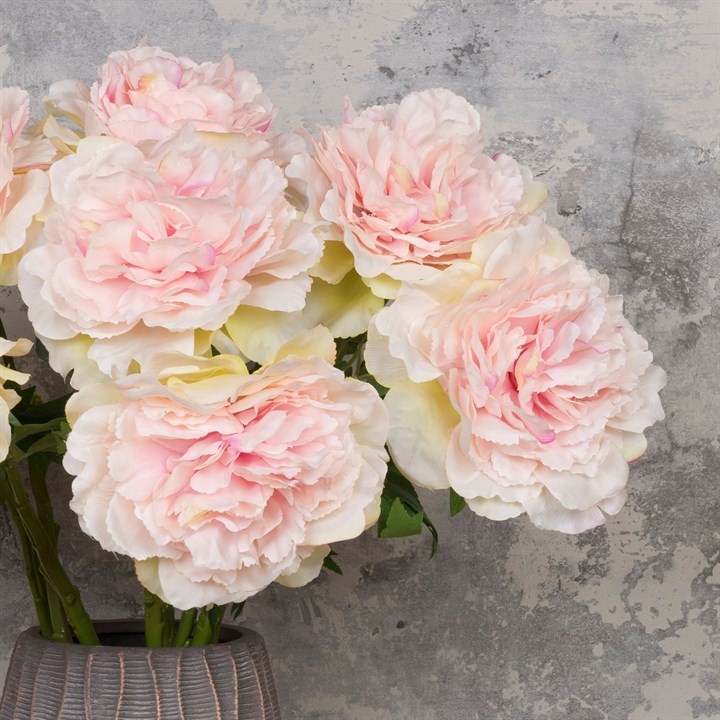 Heads of blush pink peony to brighten up the office environment