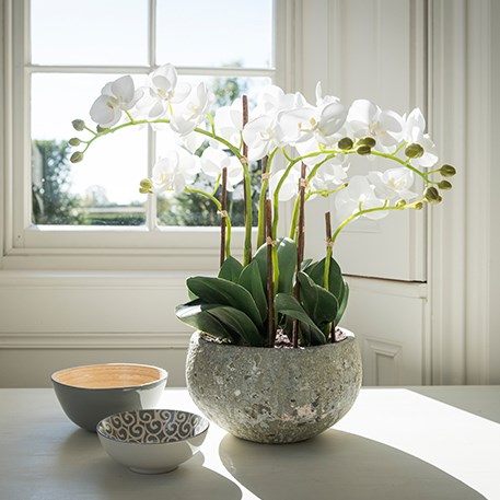 artificial white orchid in pot, with window behind