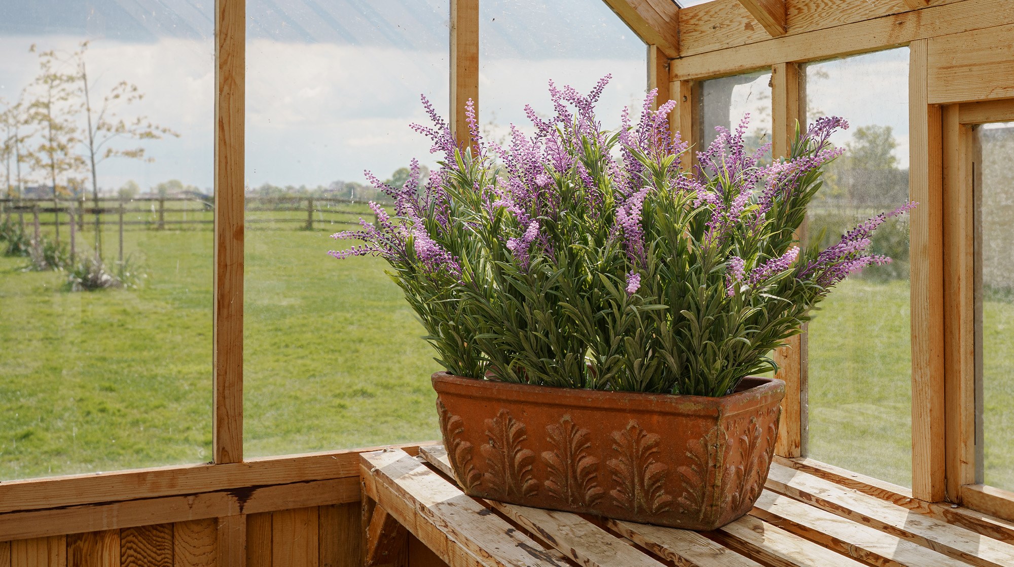 A realistic faux UV resistant lavender plant 