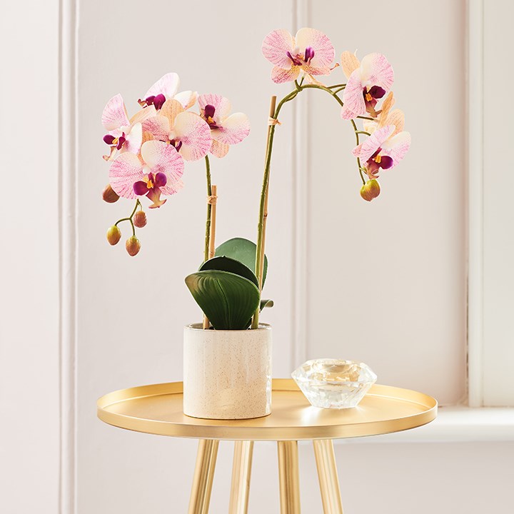 pink artificial orchid on table