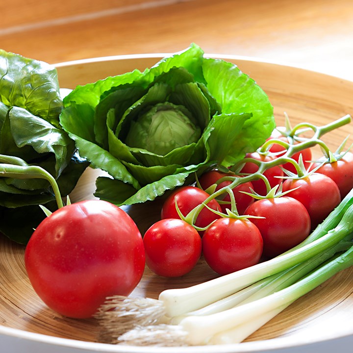artificial tomatoes, cabbages and spring onions in a bowl