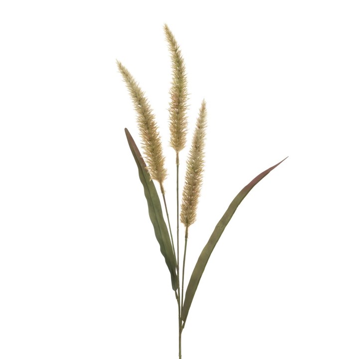 antique cream faux grass stems on white background
