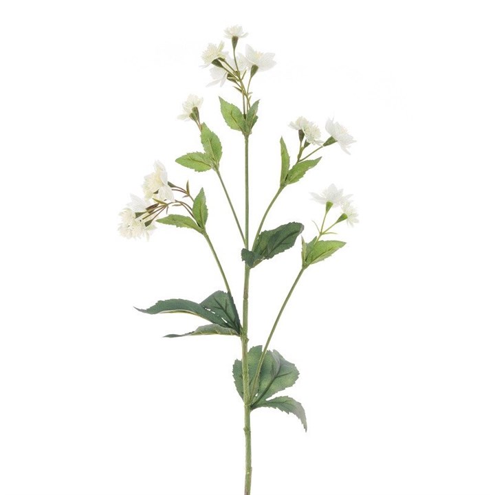 white faux astrantia stem on white background