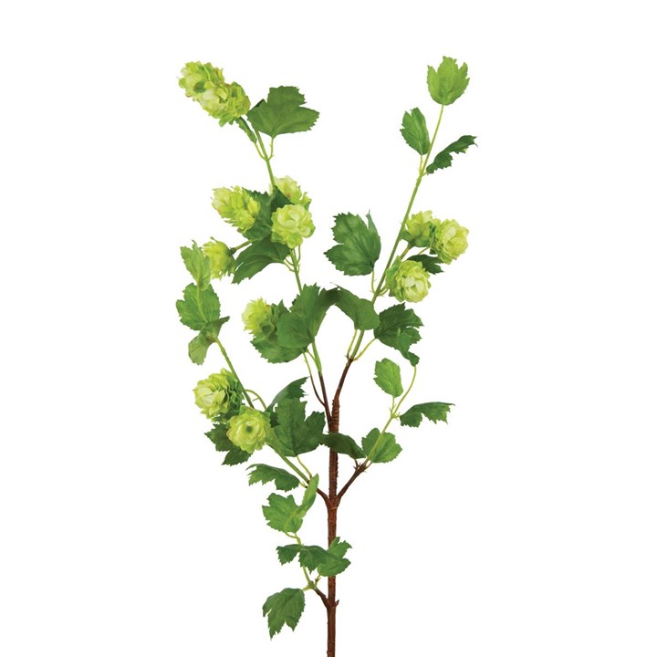 artificial hops stem on white background