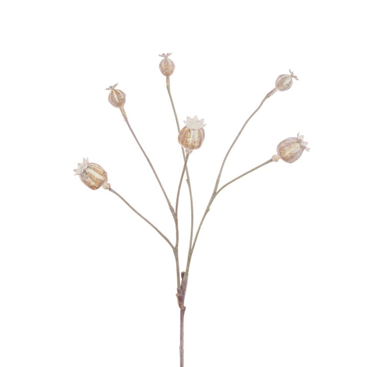 faux poppy seed head stem on white background