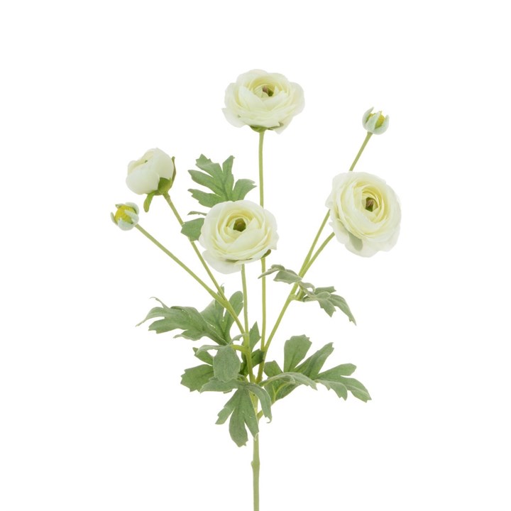 white faux ranunculus stem on white background
