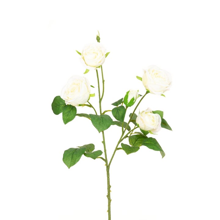 faux cream abeba rose stem on white background