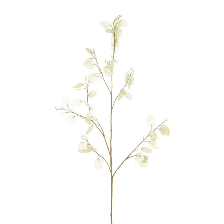 luxury faux honesty stem on white background