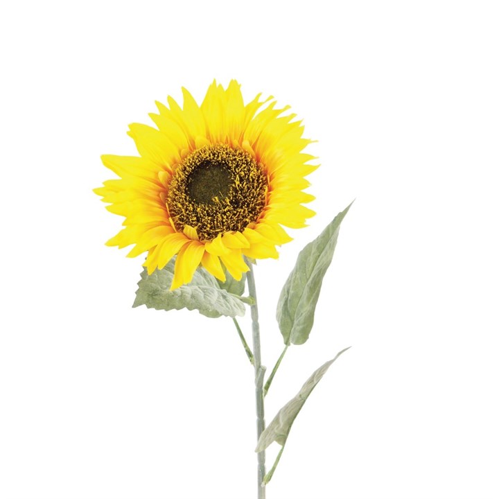 faux sunflower stem on white background