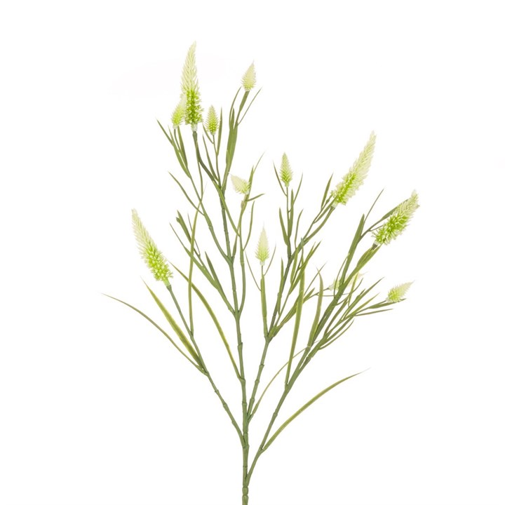 cream artificial clover stem on white background