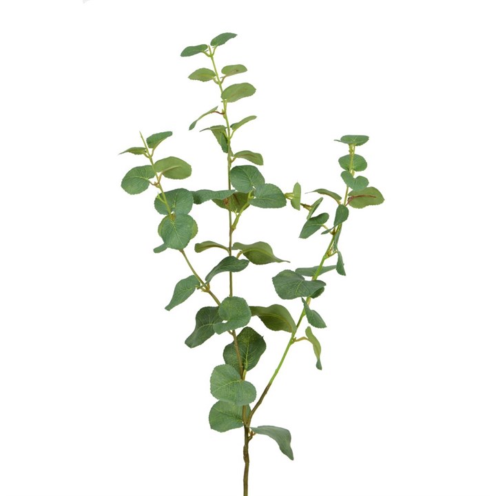classic faux eucalyptus stem on white background