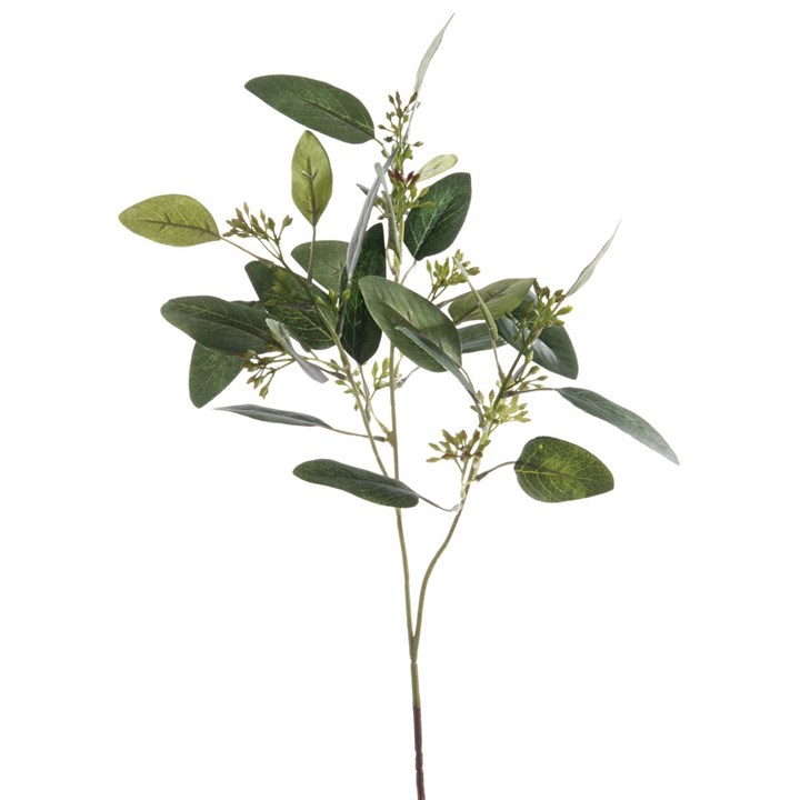 faux seeded eucalyptus stem on white background