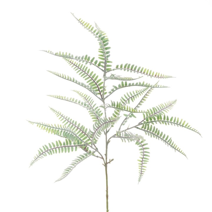 faux flocked fern stems on white background