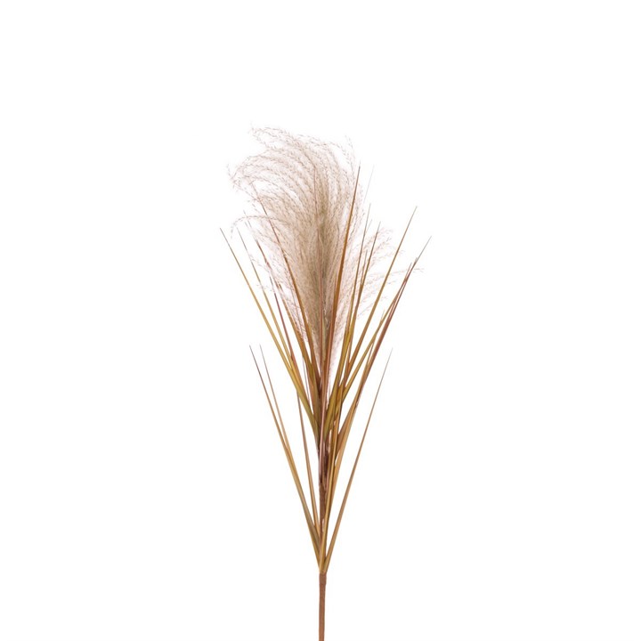 cream artificial reed stem on white background