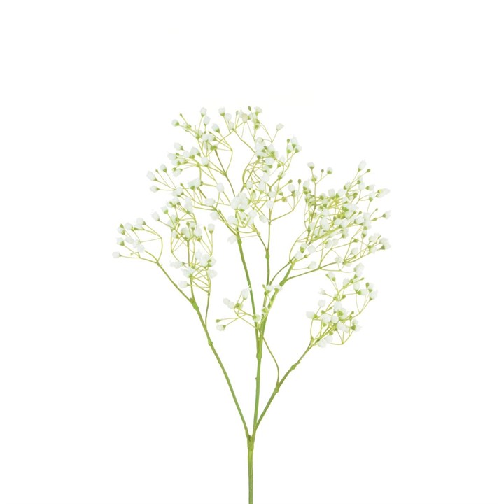 faux supreme gypsophilia stem on white background