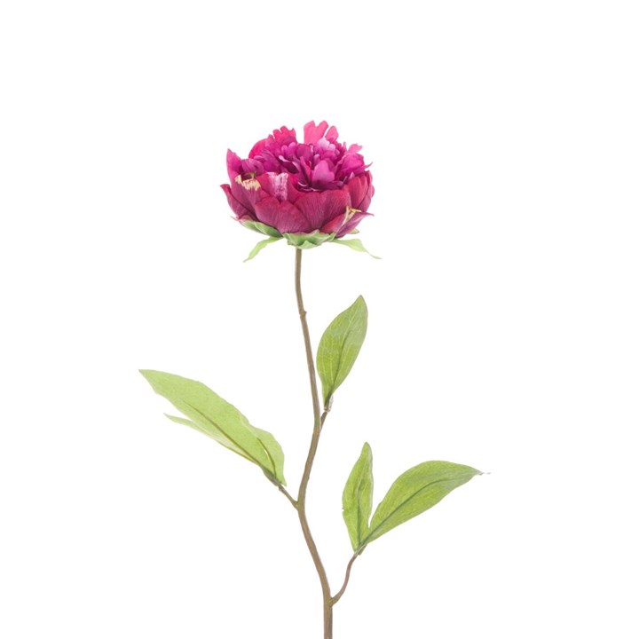 dark pink faux peony stem on white background