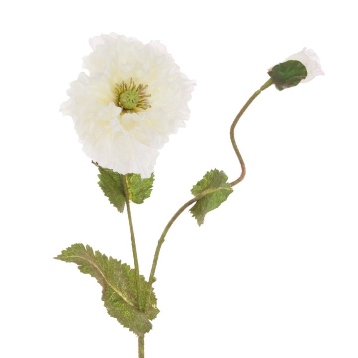 white faux poppy stem on white background