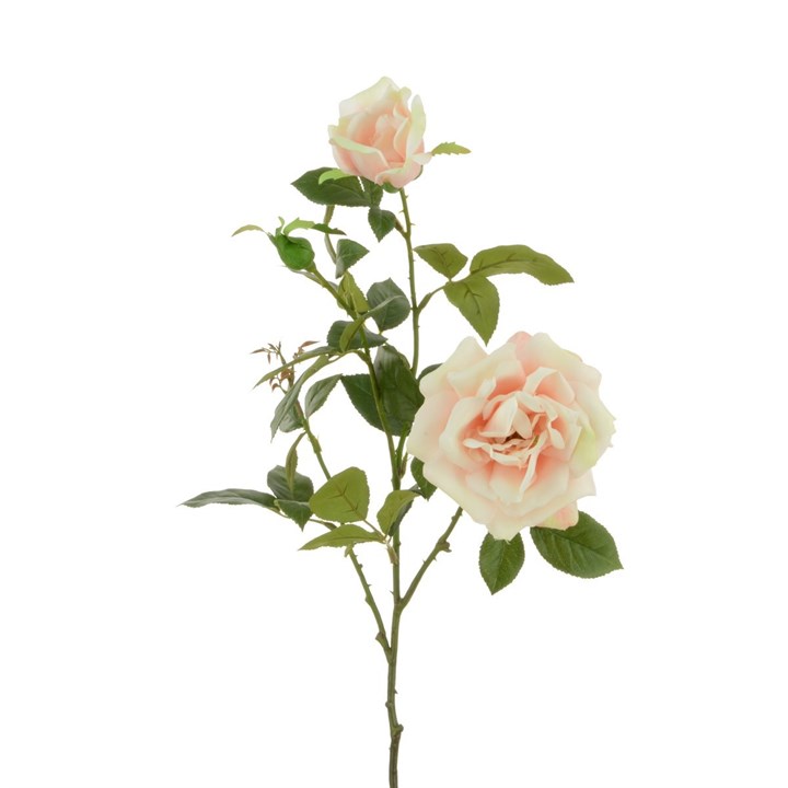 b;ush artificial garden rose stem on white background