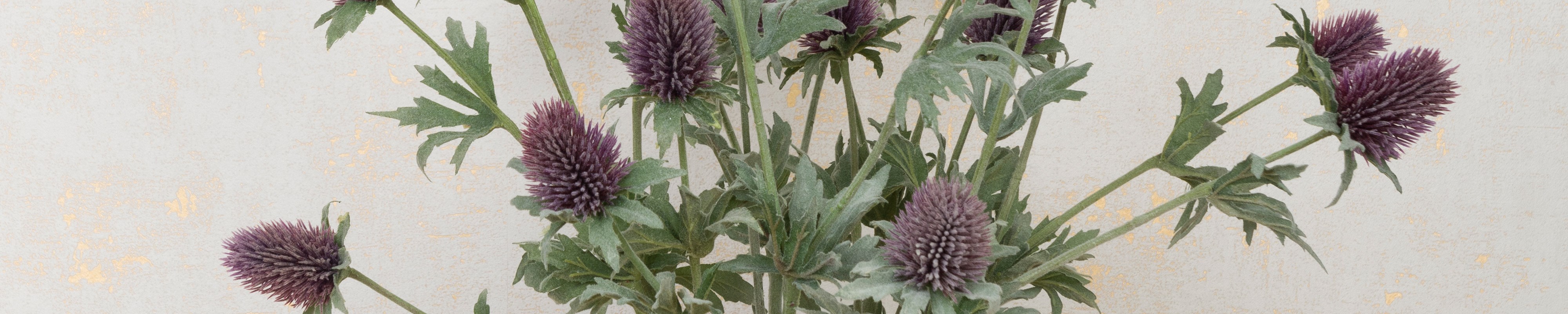 Artificial Thistles