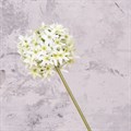 Faux Allium White alternative image