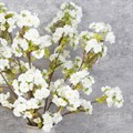 Faux Blousy Cherry Blossom White alternative image