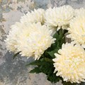 Faux Chrysanthemum Cream alternative image