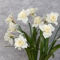 3 Faux Daffodils White alternative image