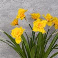 3 Faux Daffodils Yellow alternative image