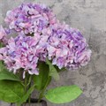 Faux French Hydrangea Purple alternative image