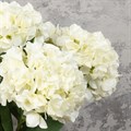 Faux French Hydrangea Cream White alternative image