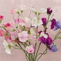 Faux Sweet Pea Bunch of 6 Stems alternative image