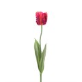 Faux Parrot Tulip Dark Pink alternative image