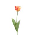 Faux Parrot Tulip Flame alternative image