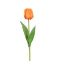 Faux Triumph Tulip Orange alternative image