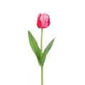 Faux Triumph Tulip Red & White alternative image