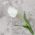 Faux Triumph Tulip White alternative image