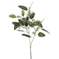 Faux Seeded Eucalyptus alternative image