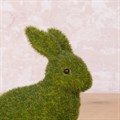 Sitting Mossy Rabbit alternative image